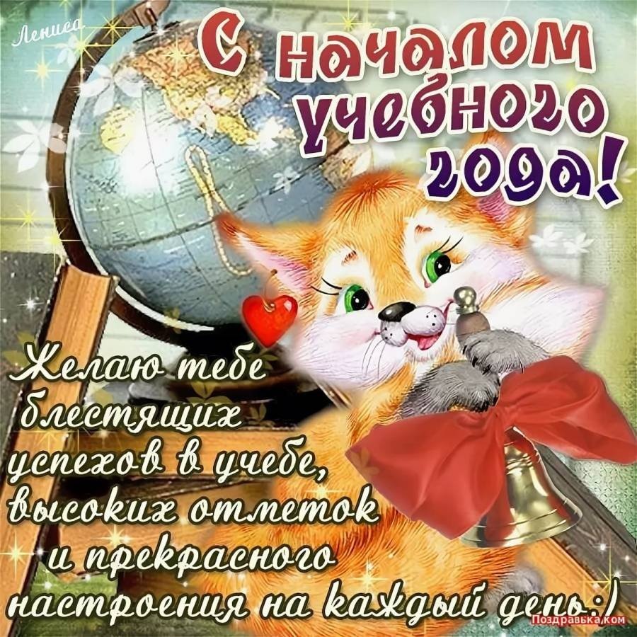 С днем учителя котенок