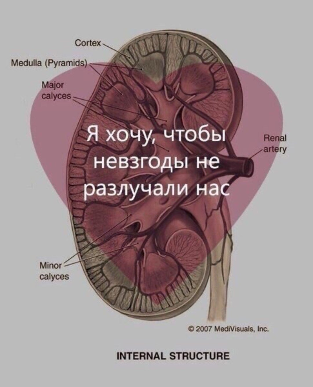 Научные валентинки