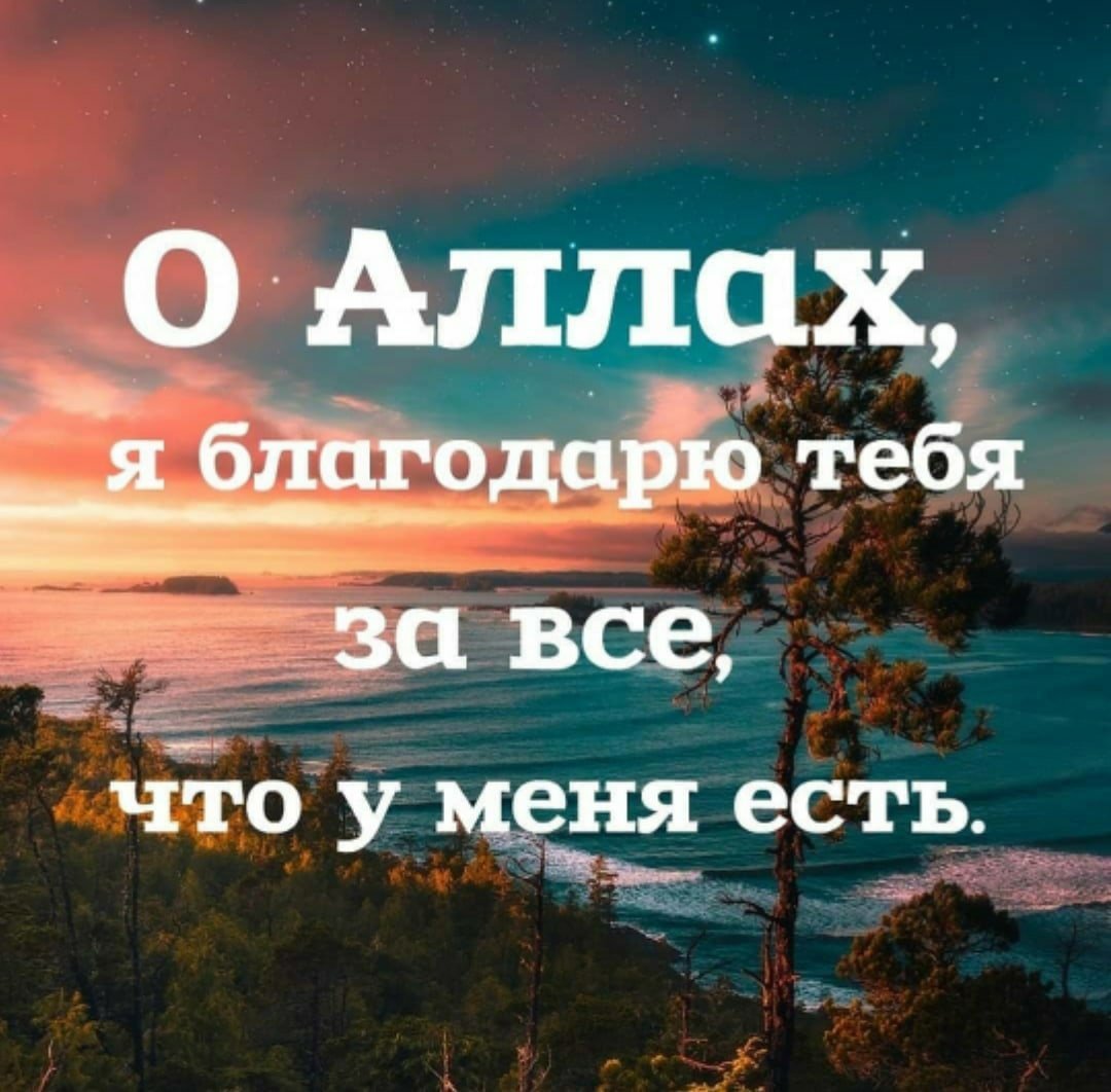 Ответ на пост «Спасибо Аллаху за млрд в год, дон дон» | Пикабу