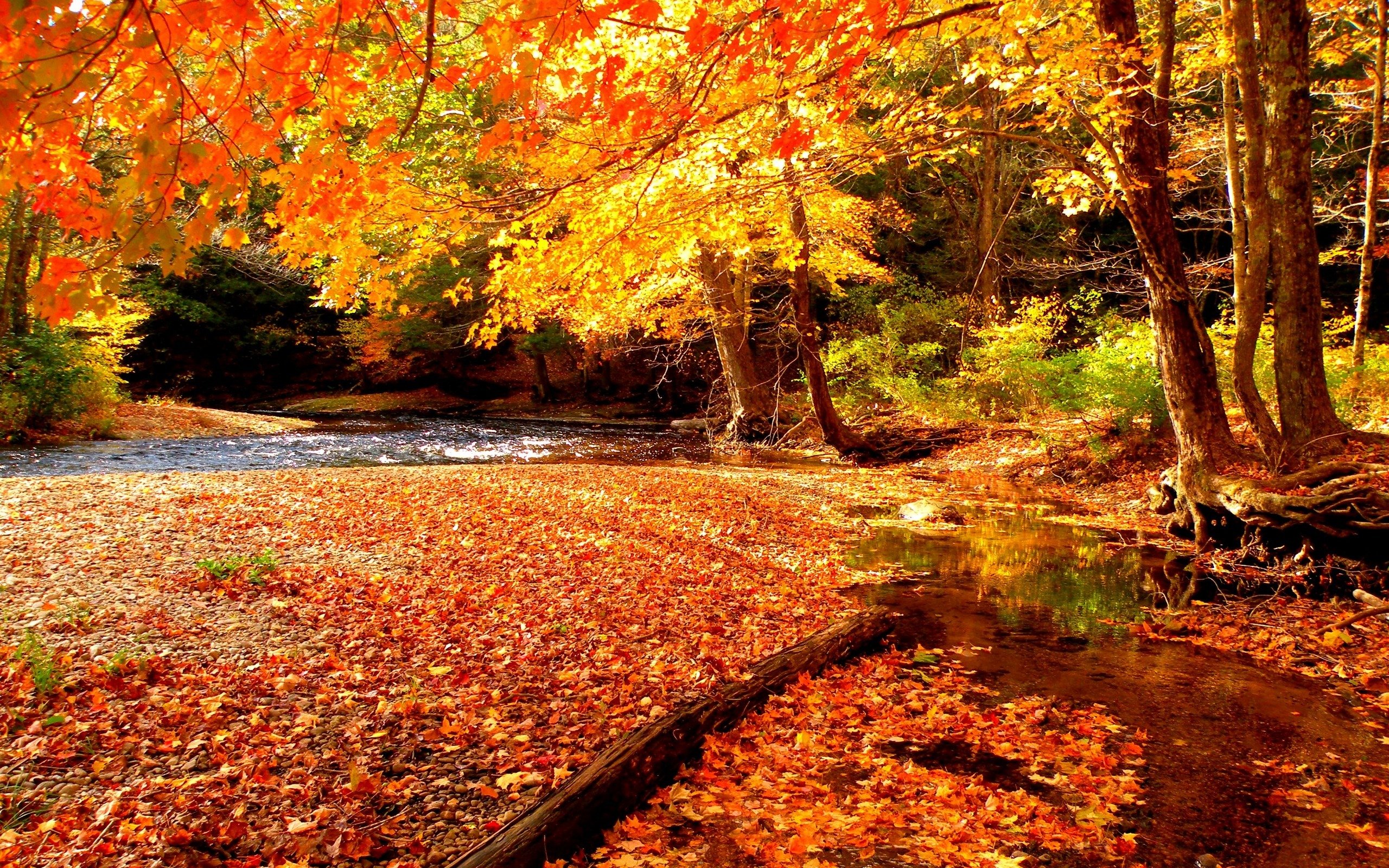 Красивая осень время. Осень. Природа осень. Прекрасная осень. Обои осень.