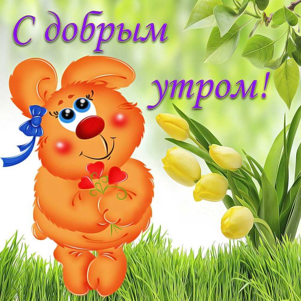 Удачного дня сынок