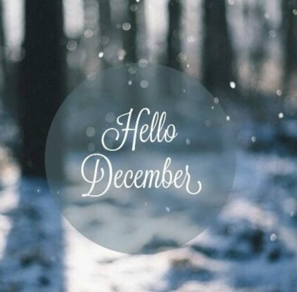 December first. Привет декабрь. Привет декабрь привет зима. Первый день зимы для инстаграмма. Привет декабрь с первым днем зимы.