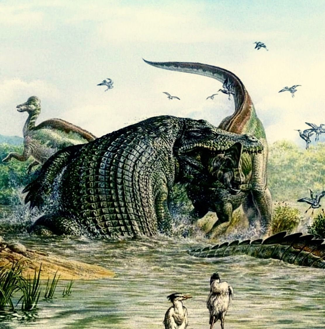 Древние времена динозавров. Доисторический крокодил дейнозух. Древний крокодил дейнозух. Древний крокодил Саркозух дейнозух. Дейнозуха пурусзавр.