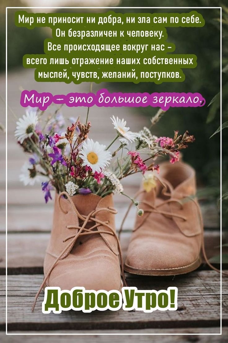 Доброго дня цитаты