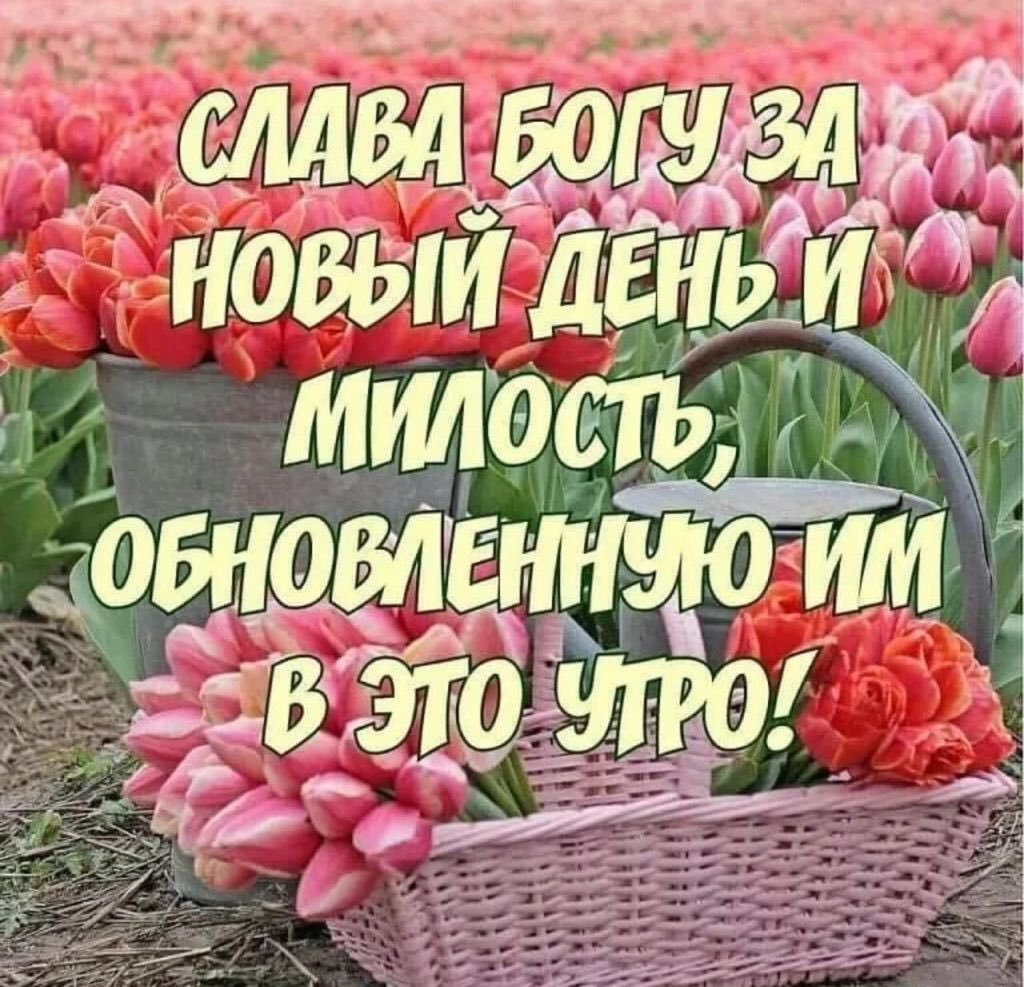 Открытки с днем субботним асд