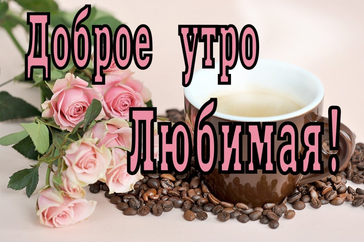 Любимая киса доброе утро