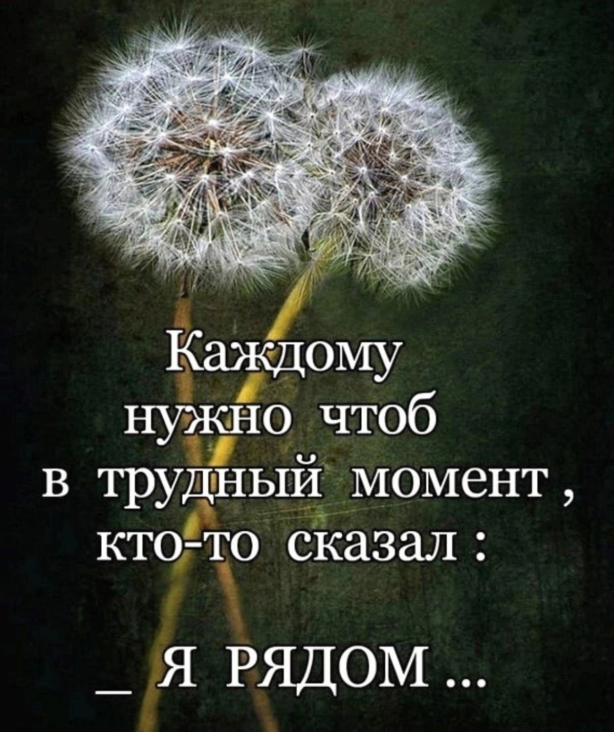 Более 100 цитат для мотивации и вдохновения коллектива на совместную работу