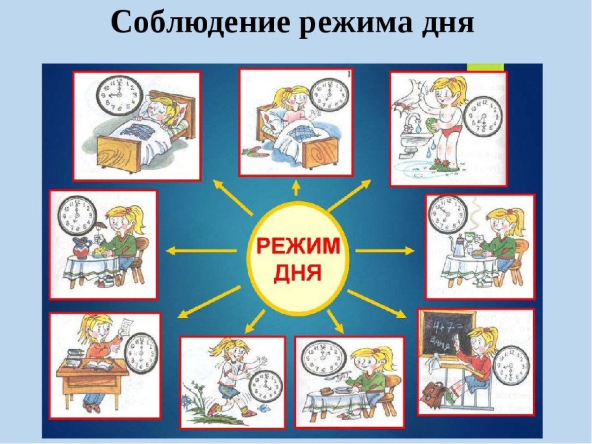 Картинки на тему режим дня школьника