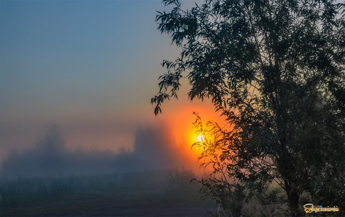 Хороши также летние туманные дни