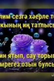 Открытки доброй ночи на татарском языке