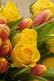 Цветы тюльпаны картинки красивые букеты
