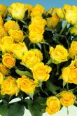 Желтые розы красивый букет