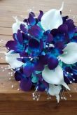Синие орхидеи букет
