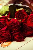 Бордовые розы букет
