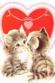 Котик с сердечком открытка