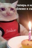 Грустный кот день рождения