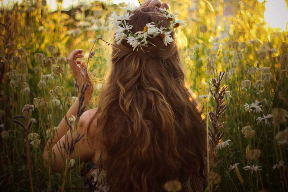 Девушка с длинными русыми волосами в поле. Девушка с длинными волосами на природе. Девушка с цветком в волосах. Девушка в венке со спины.