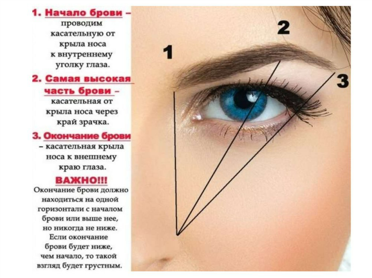 Септум Эстетика Эстетика