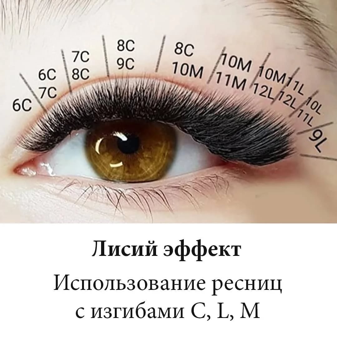 Наращивание ресниц Лисий эффект 1д схема