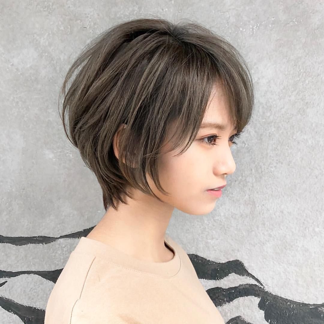 Пикси Боб корейский 2021