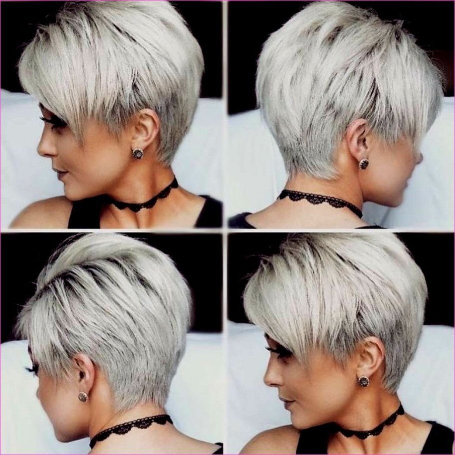 Стрижка Лонг Пикси Боб