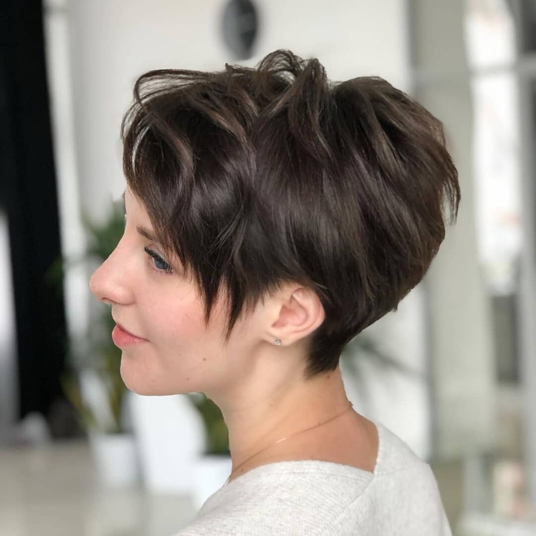 Градуированный Пикси Боб