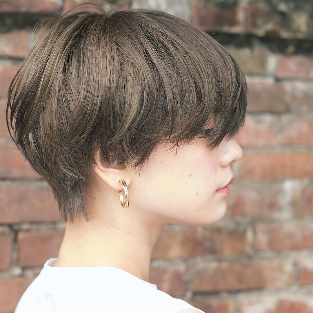 Пикси-Боб стрижка Корея