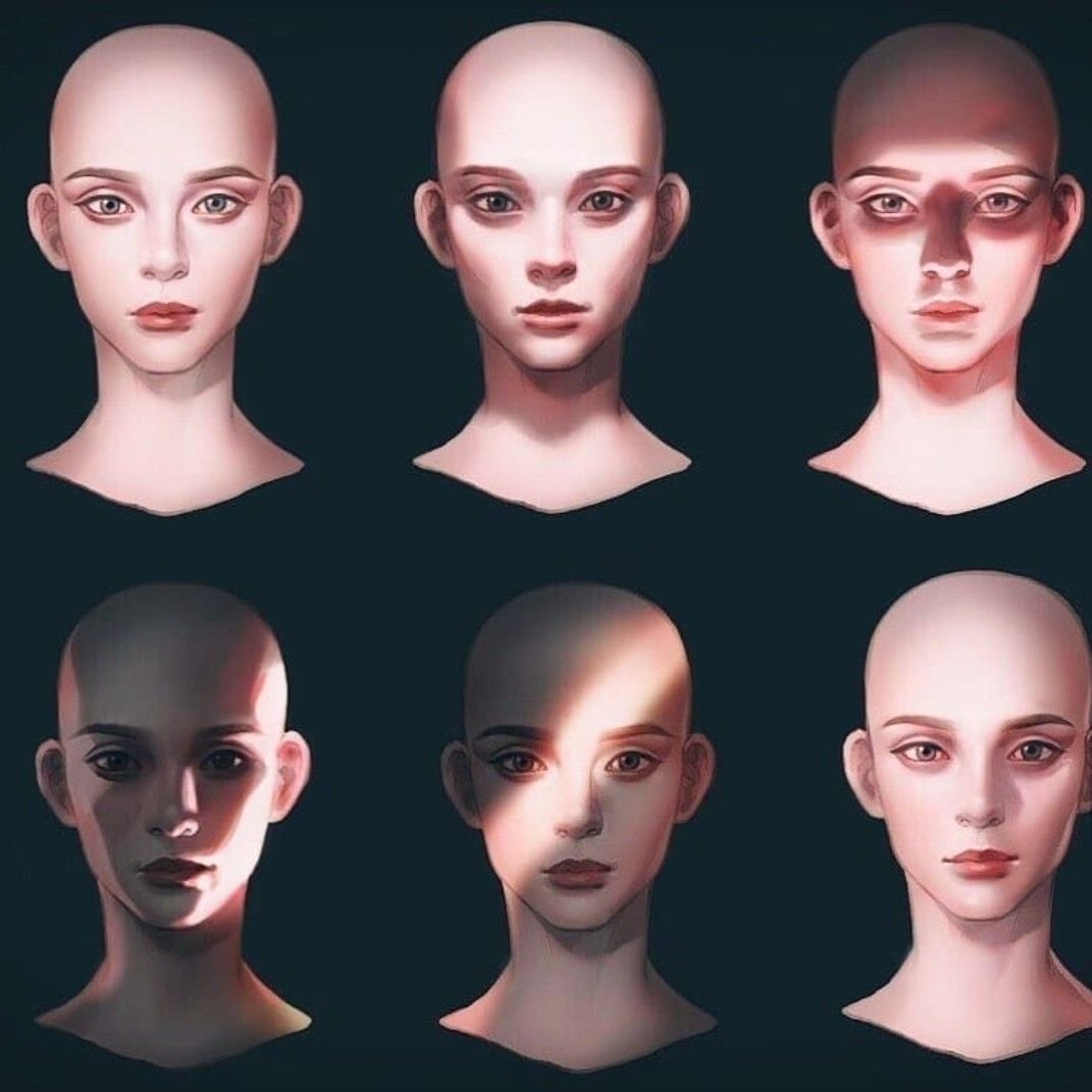 Форма головы и лица