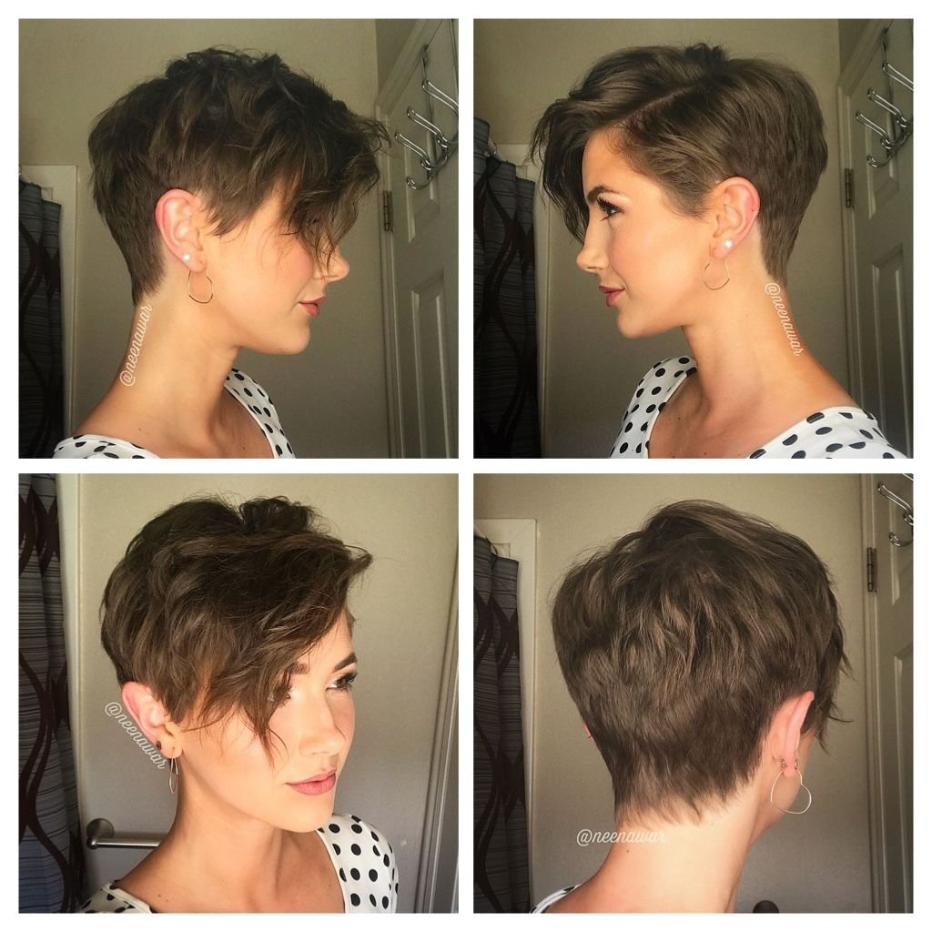 Отросший Пикси Боб