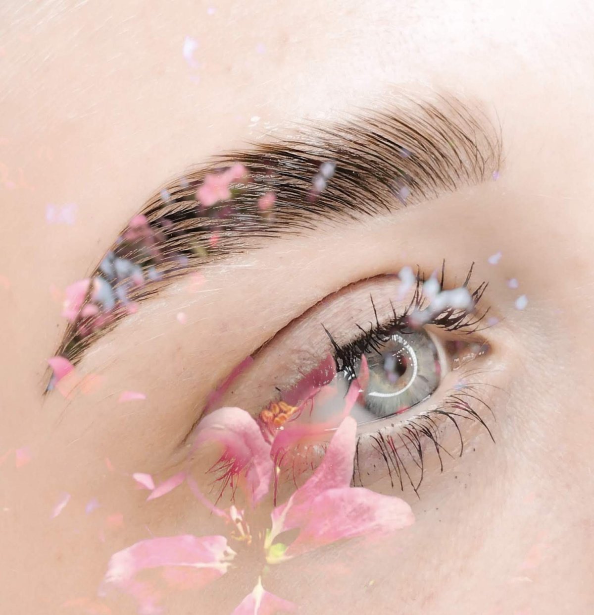 Красивые заставки для бровей