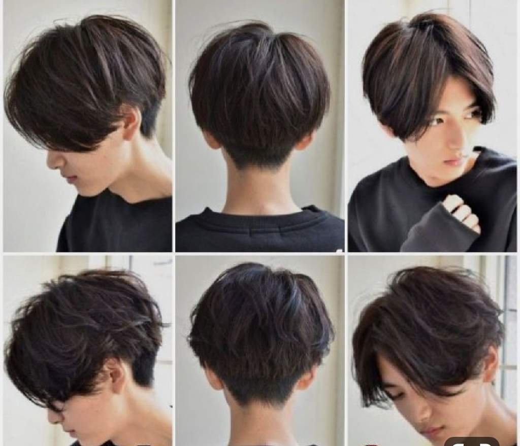 Томбой стрижка Пикси Боб