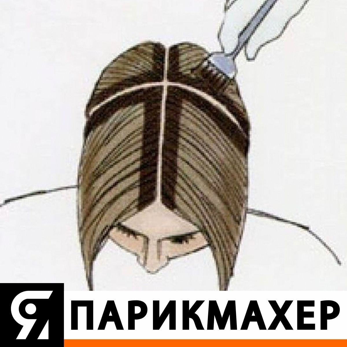 Схема окрашивания корней