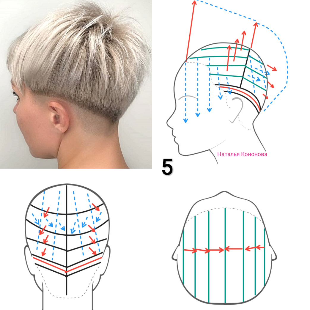 Схема деления волос на зоны при окрашивании