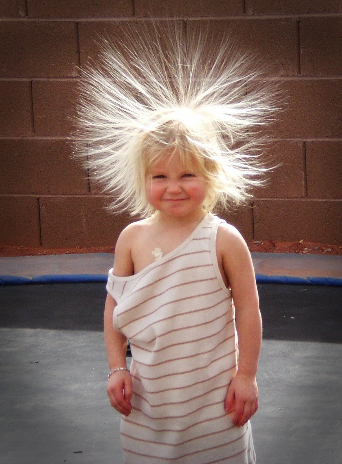 Смешные стрижки