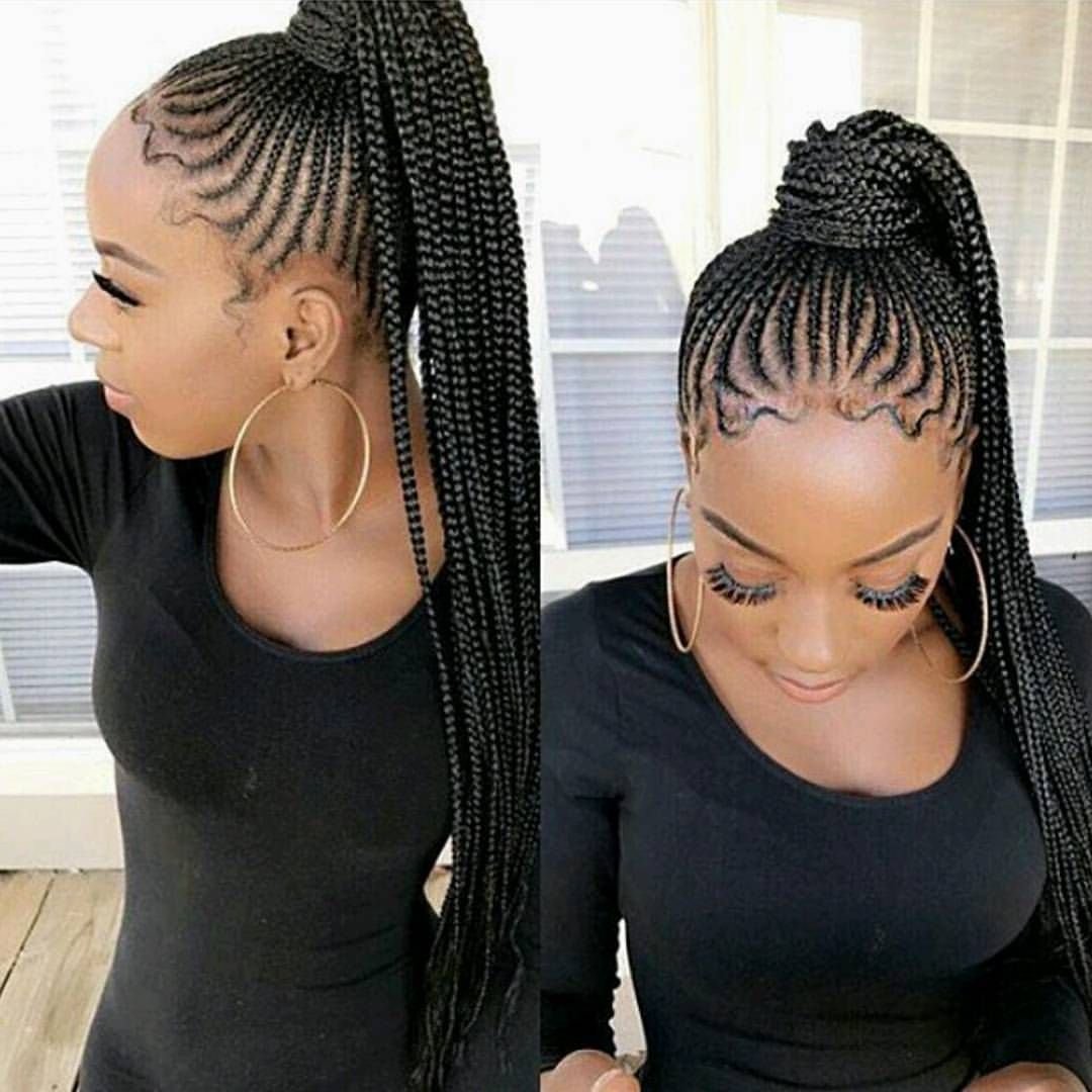 Брейды в афрохвост