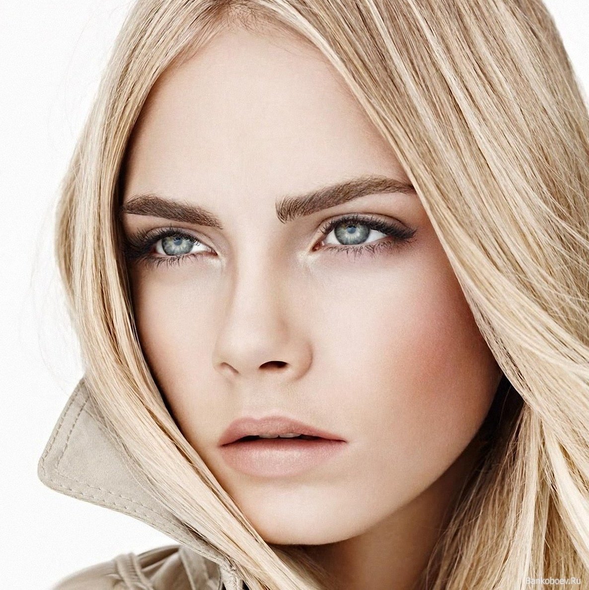 Кара Девиль брови