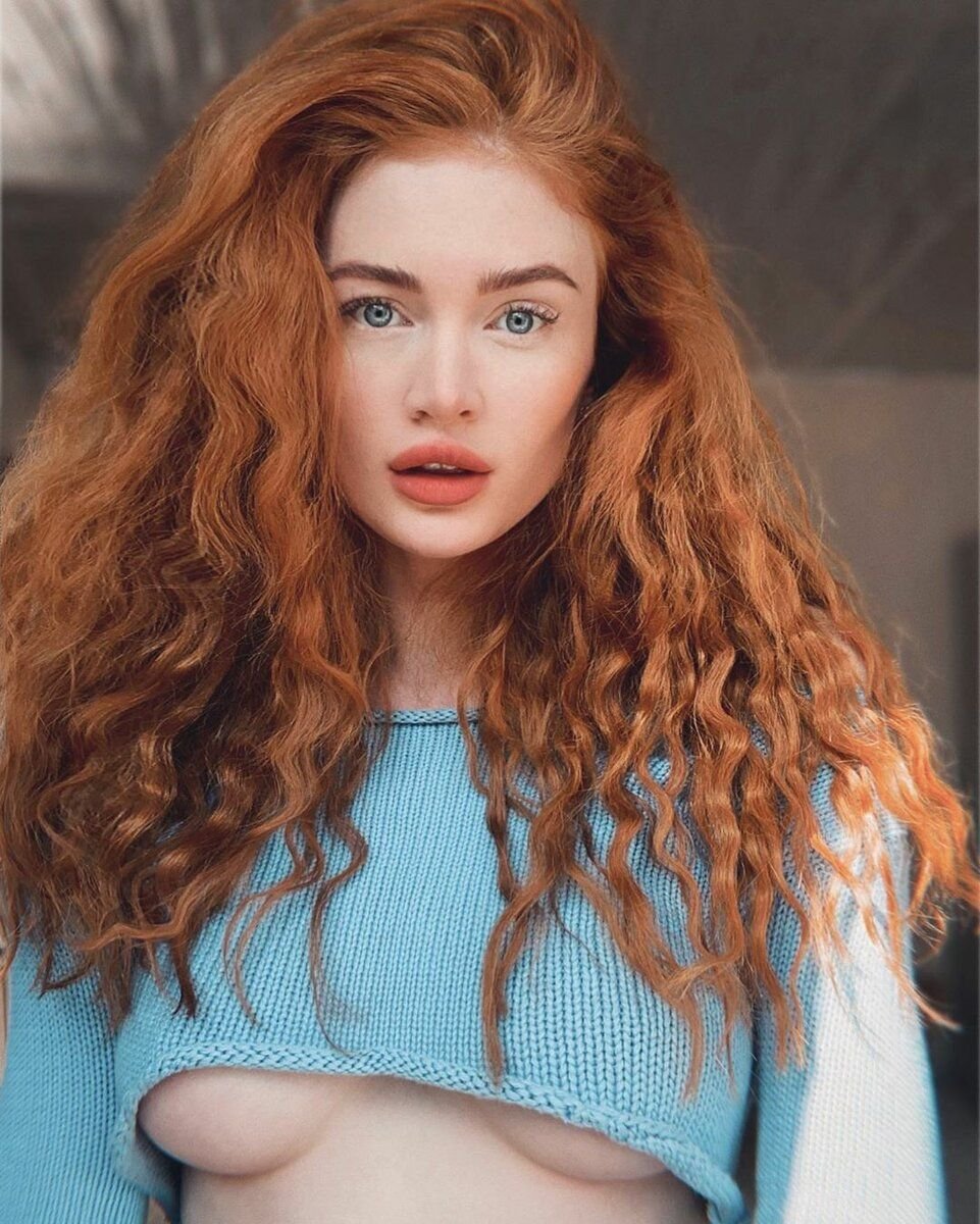 Рыжие с черными бровями