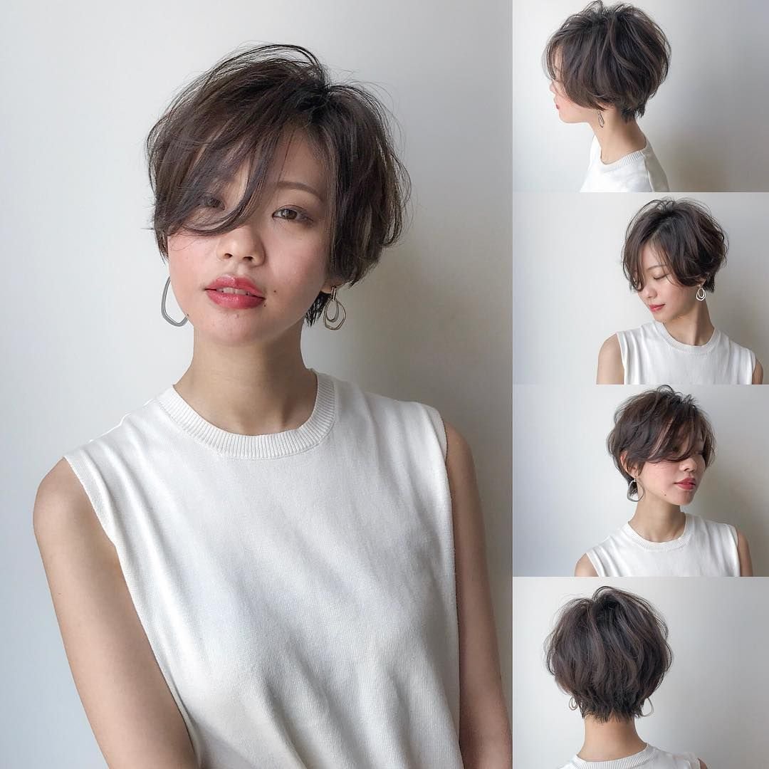 Pixie Bob стрижка Корея