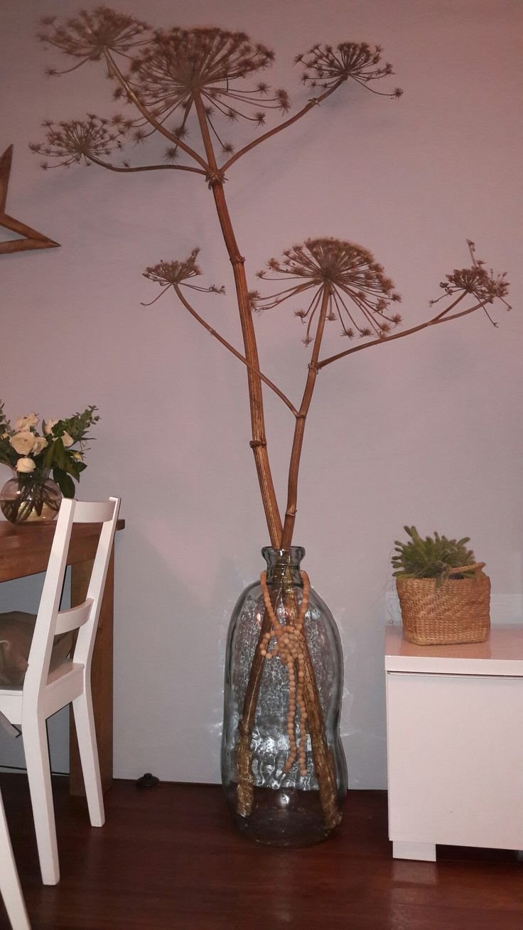 Декор из борщевика