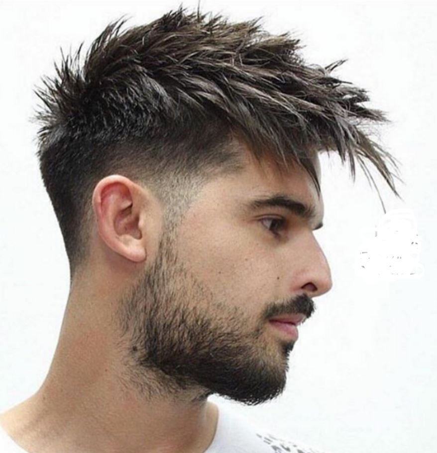 Фейд андеркат Ежик