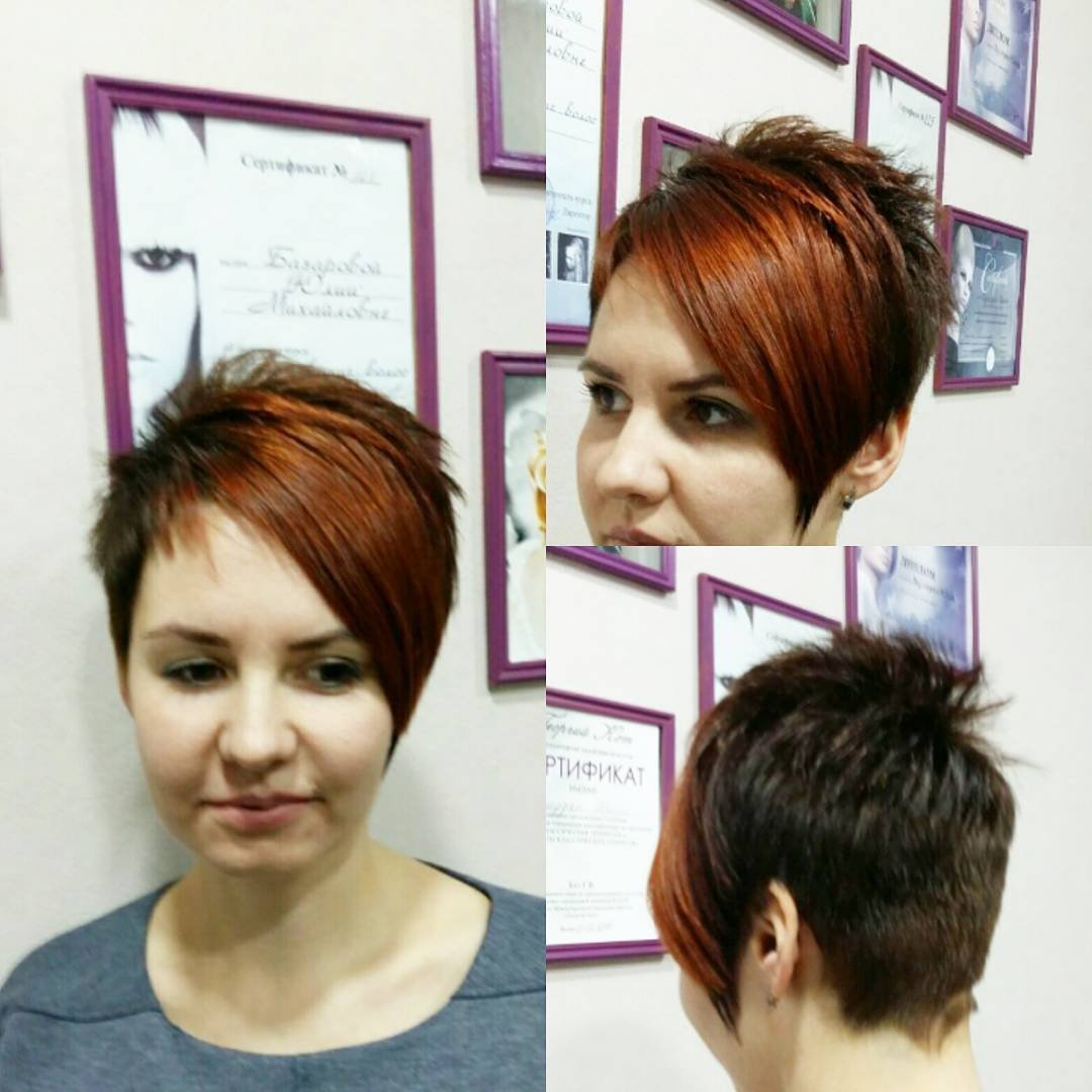 Стрижки Пикси, Гарсон, Пикси Боб