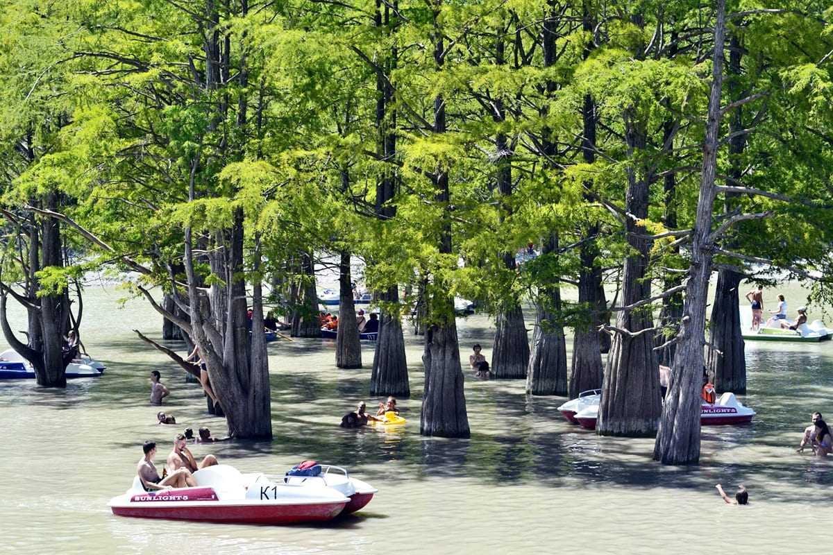 Выездная церемония на берегу моря