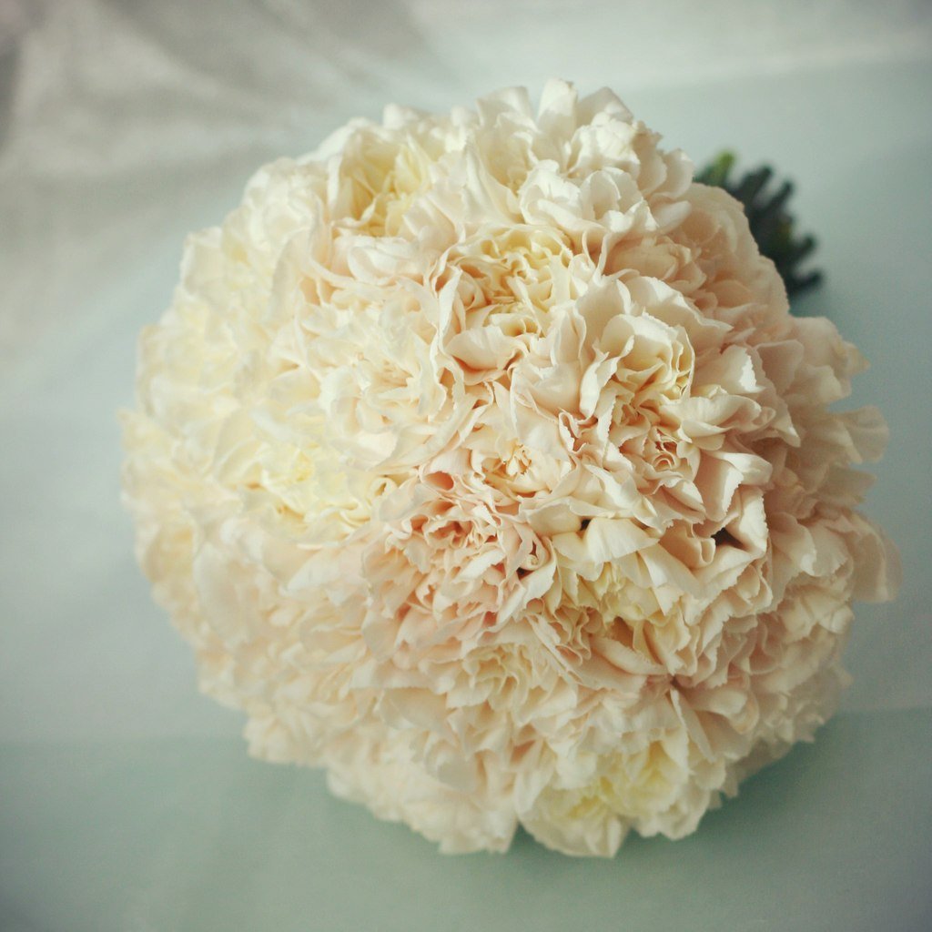 Диантус свадебный букет