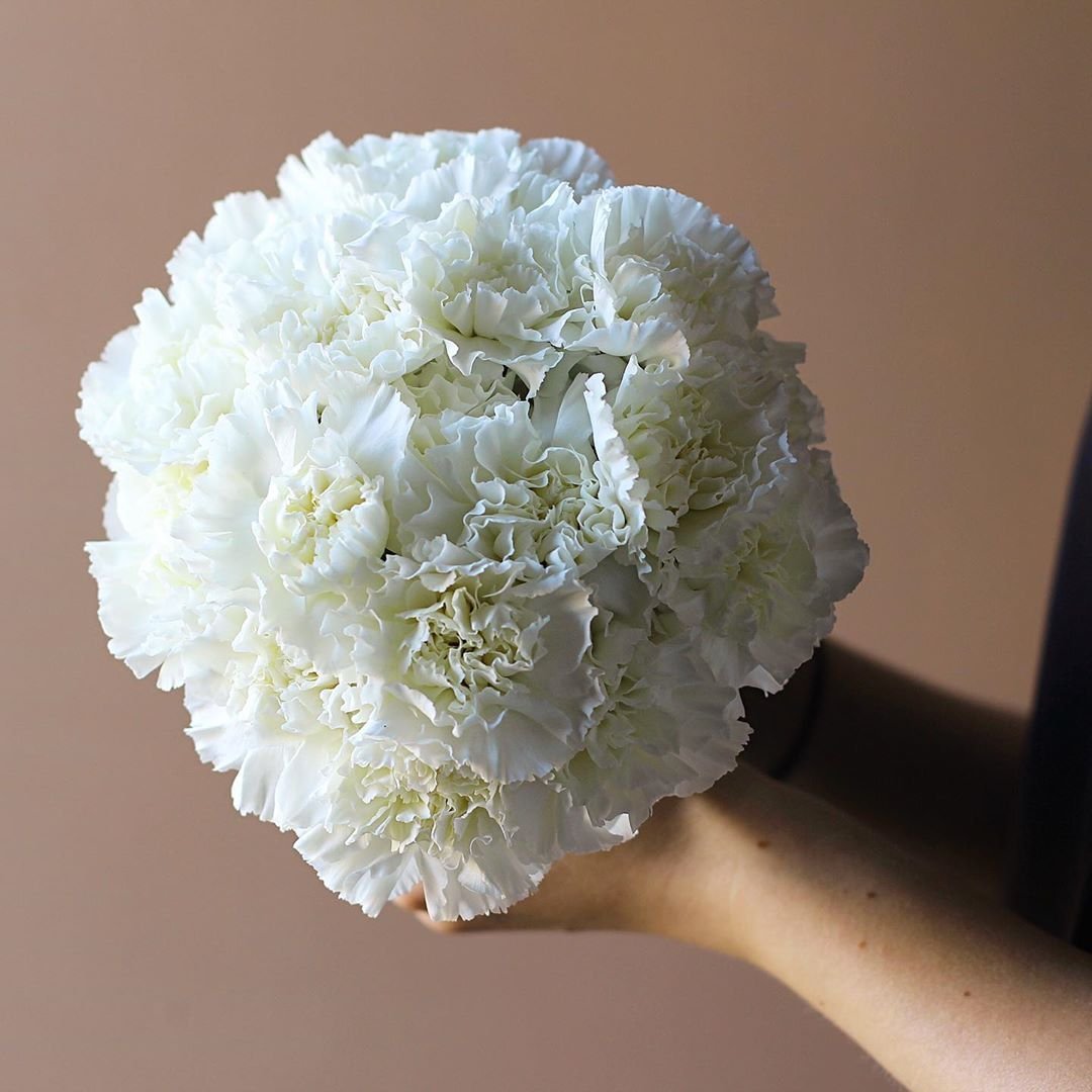 Диантус Монобукет