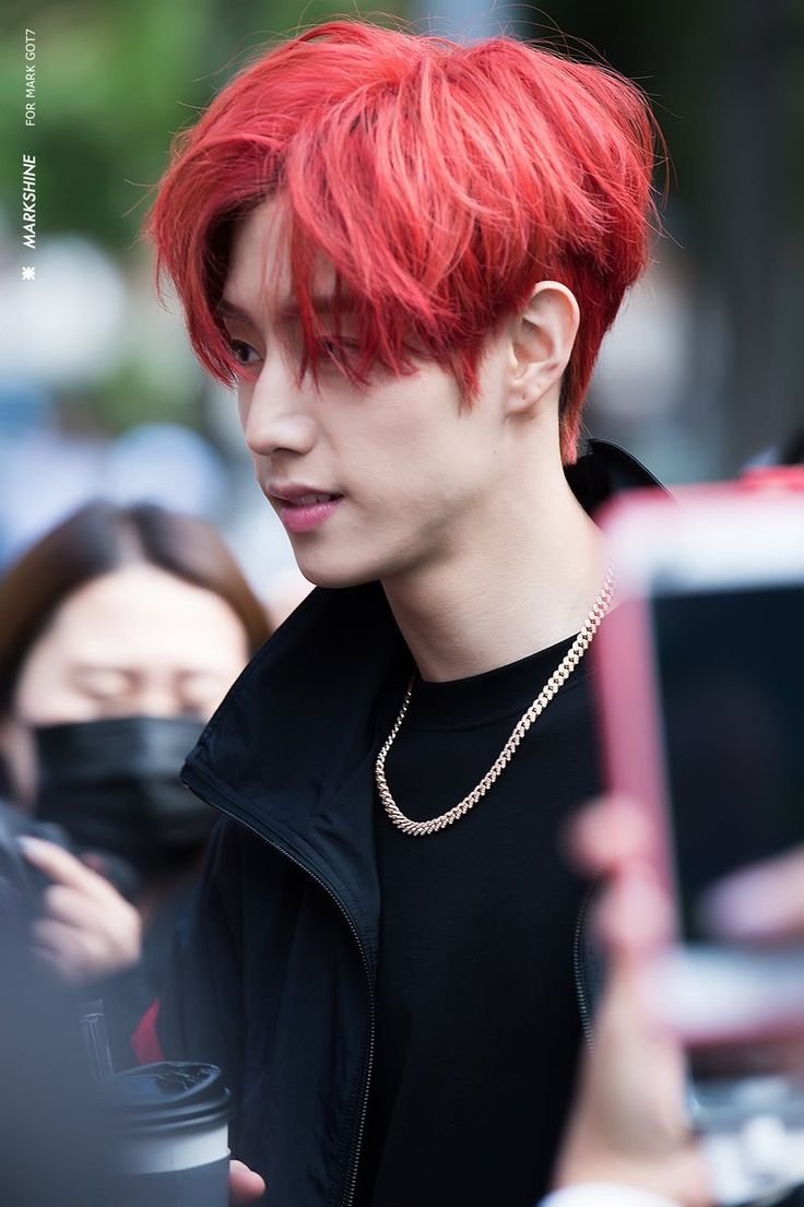 Марк Туан волосы