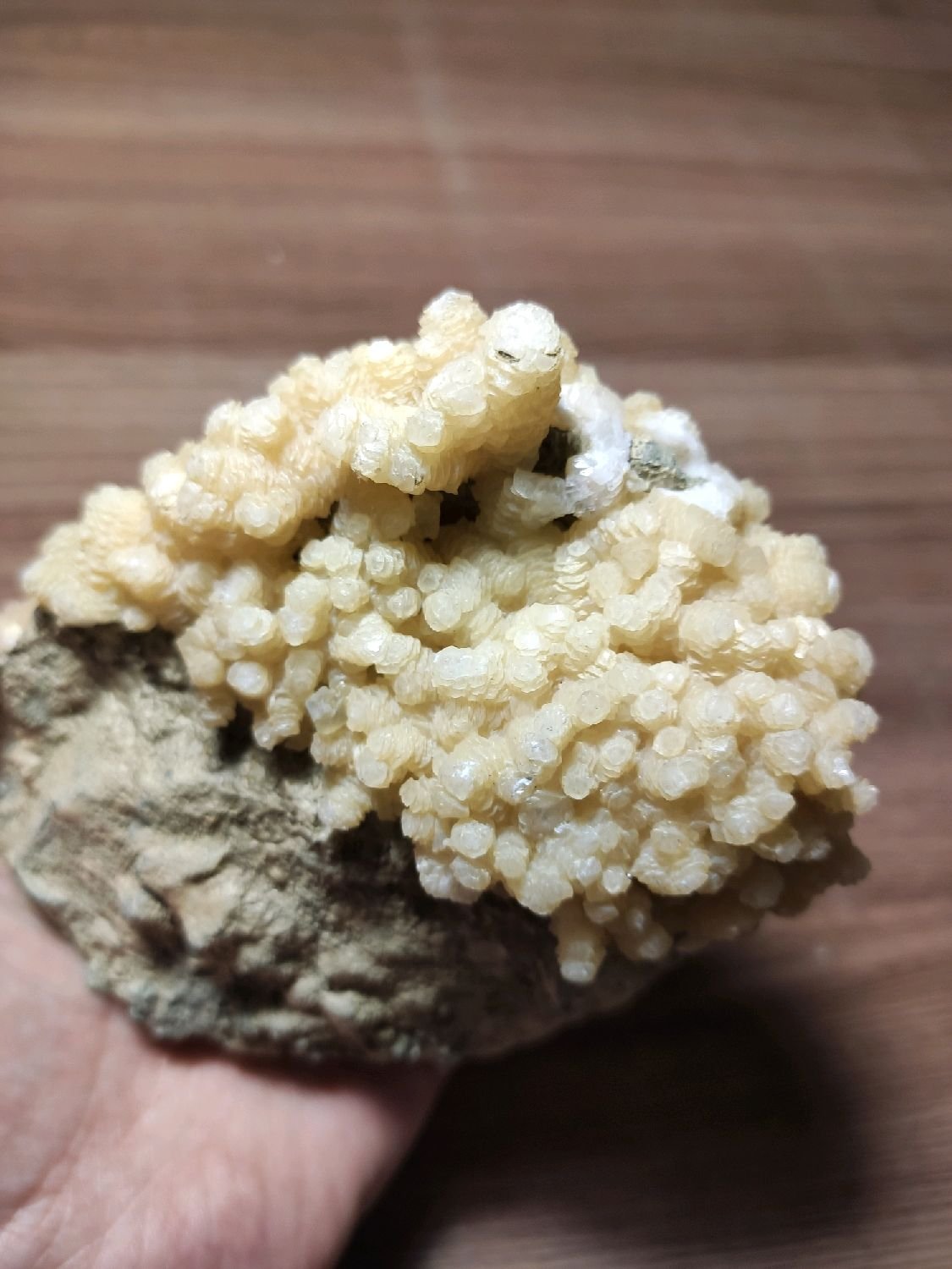 Кулон Аммонит симбирцит