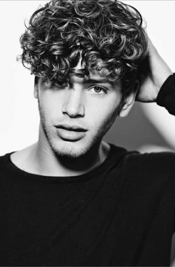 Марко кудрявый