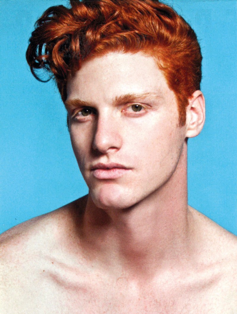 Густав Хэир модель