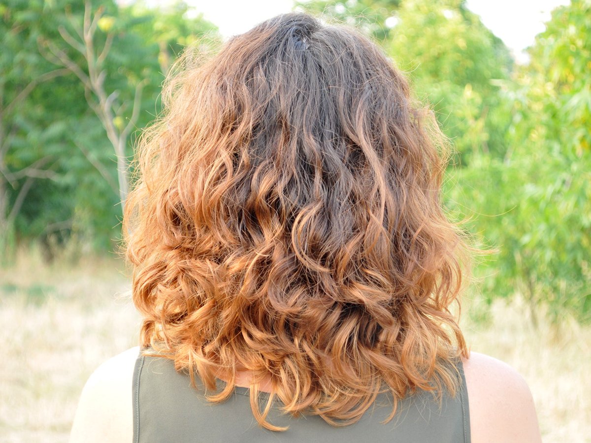 София Моше кудри