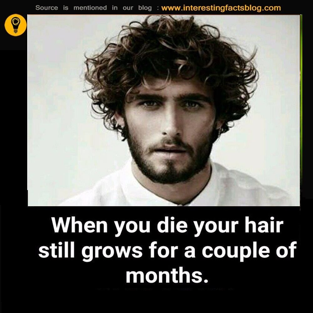 Кудрявый Кристофер